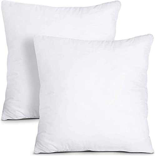 TOP-STYLE-COLLECTION-Throw-Pillow-Insert-Soft-Fluffy-Down-Alternative-Polyester-Square-Form-Decorative-Pillow-Insert-Sha-B09J5B3QFX.jpg FoamTouch COLLECTION Throw Pillow Insert Soft Fluffy Down Alternative Polyester Square Form Decorative Pillow Insert Sham Stuffer Sofa Couch Bed Pack Of 2 - Image 1